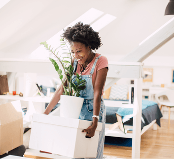 Wards of Kent-Customer Reviews