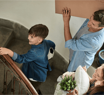 Wards of Kent-Help & Advice-Buying guide